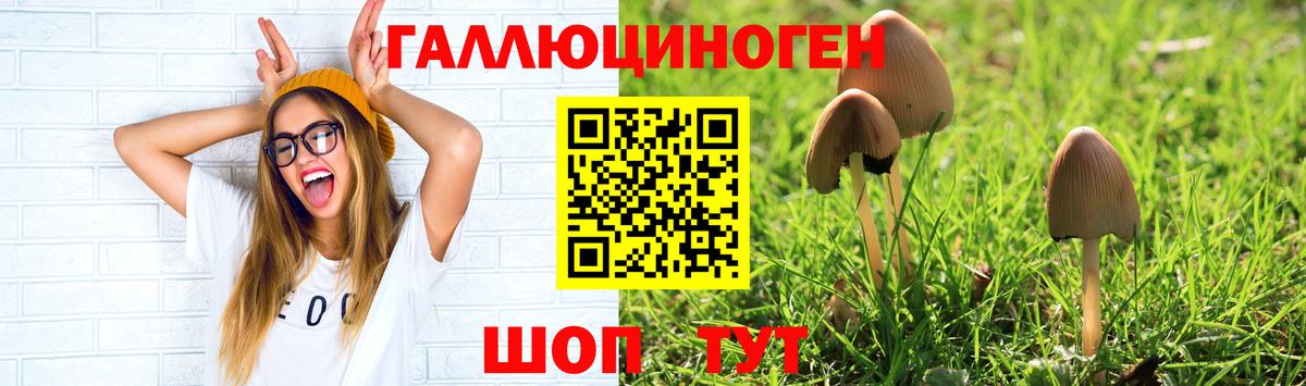 Галлюциногенные грибы ЛСД  наркотики  Чебоксары  Вход с VPN 